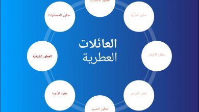 تعرف على العائلات العطرية | أنواعها ومميزاتها