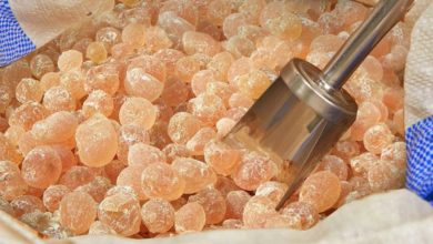 عطور المستكة