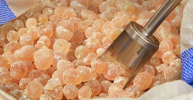 عطور المستكة