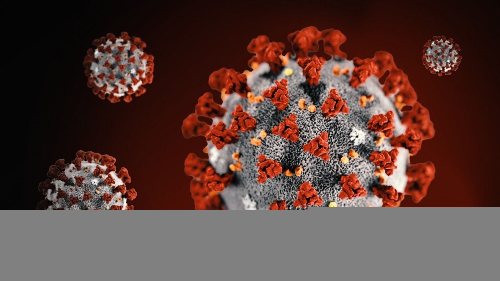فايروس كورونا