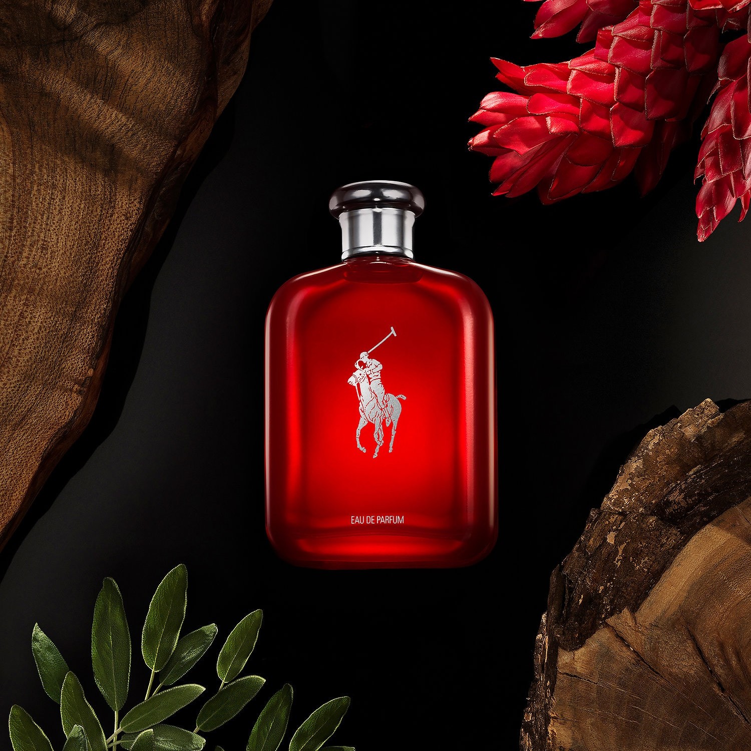 عطر بولو ريد Polo Red Eau de Parfum Ralph Lauren من رالف لورين