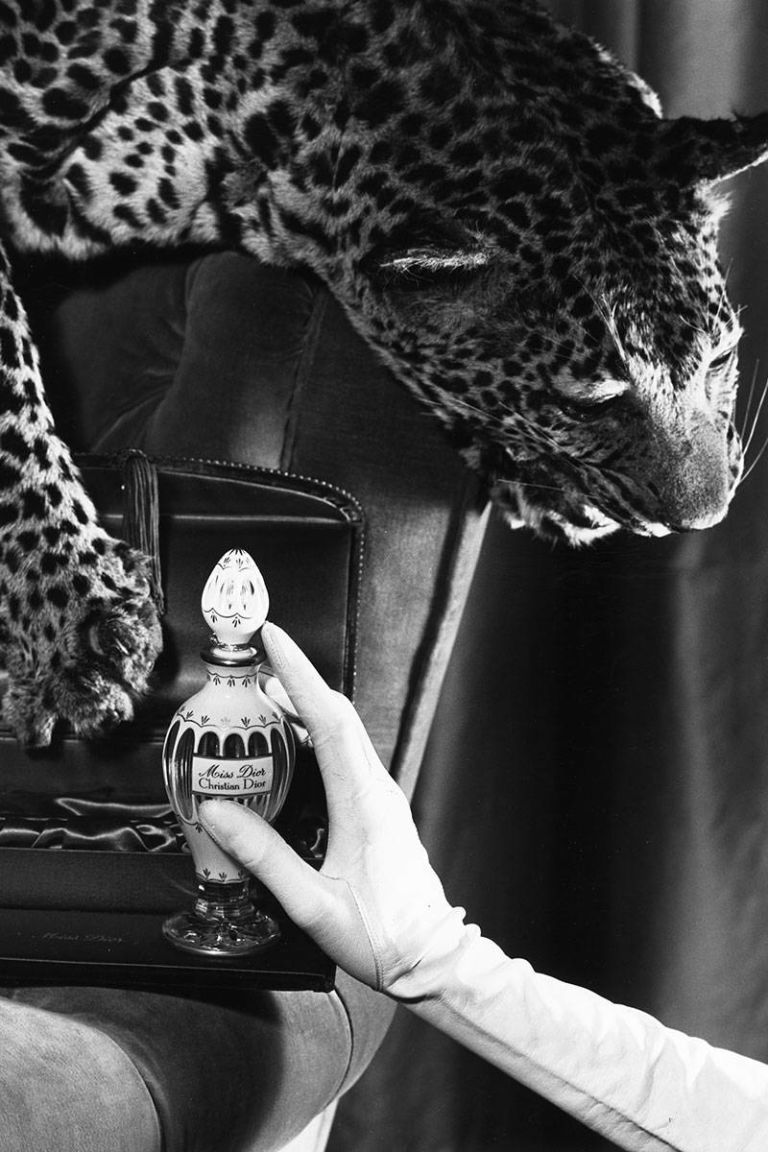 أول عطر لشركة ديور