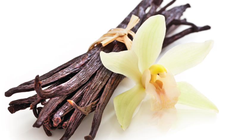 ماذا تعرف عن الفانيلا؟