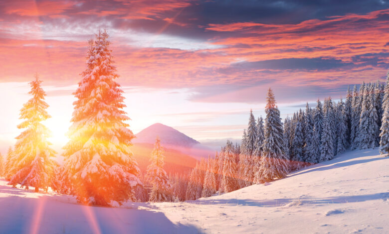 عطور شتوية مميزة للرجال لعام 2020