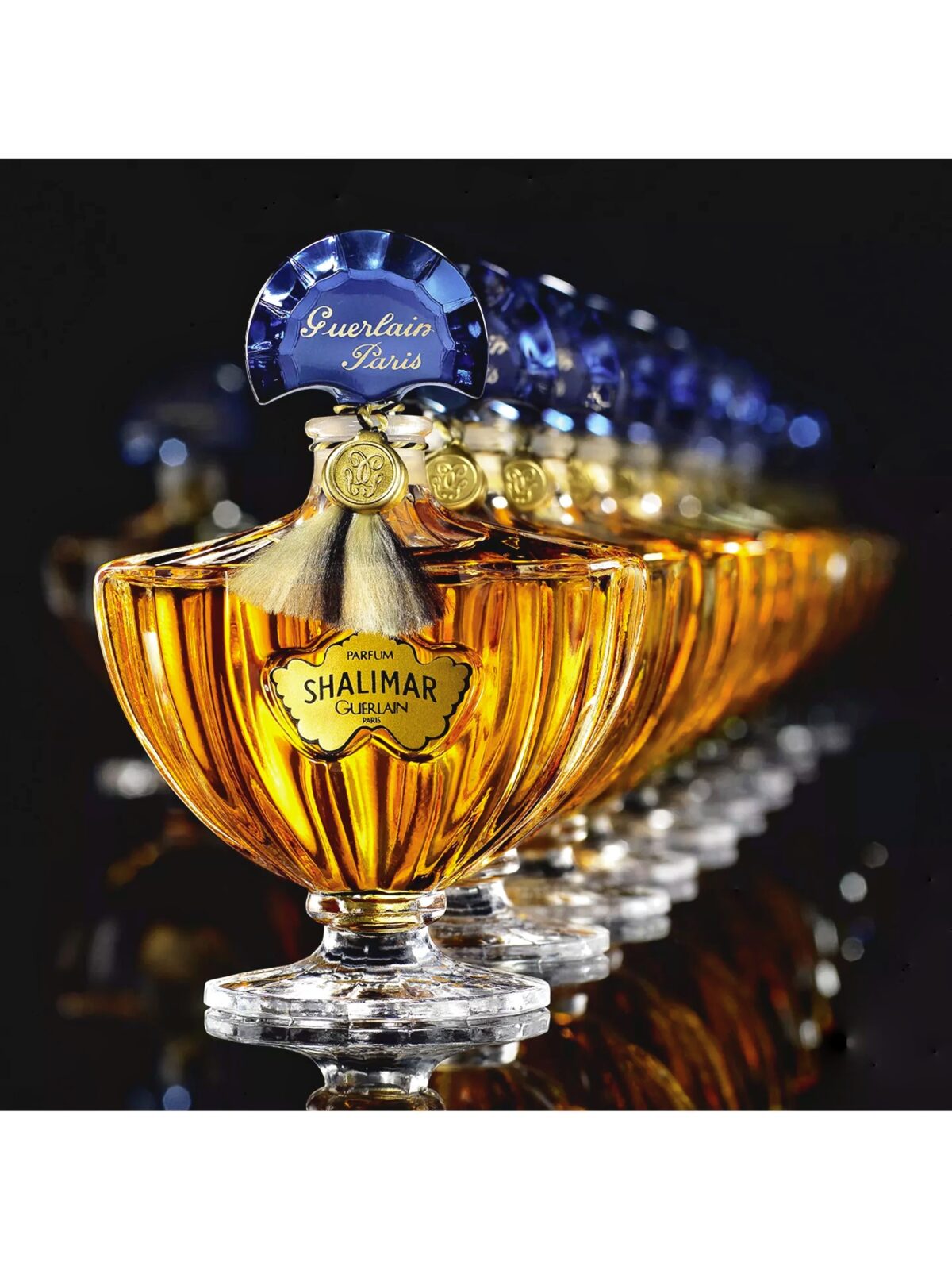 قصة عطر شاليمار أسطورة غيرلان الخالدة