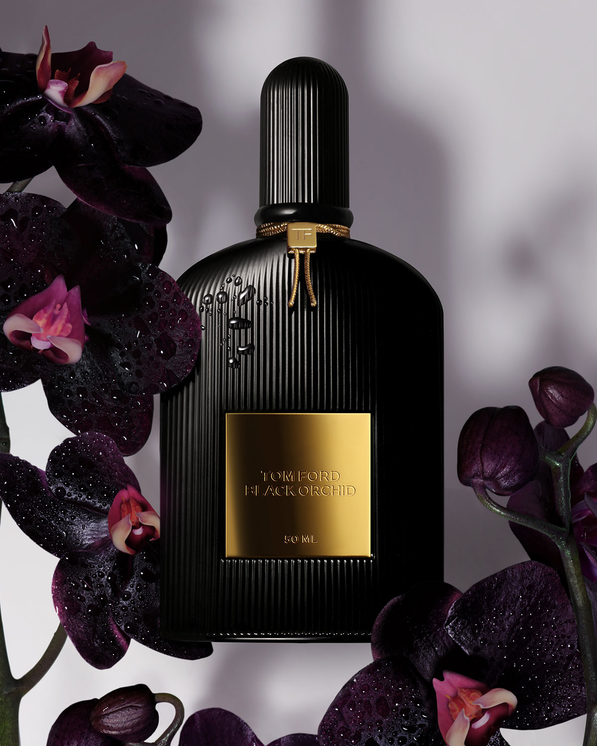 عطر بلاك أوركيد Black Orchid Tom Ford من توم فورد عنوان للتميز والفخامة