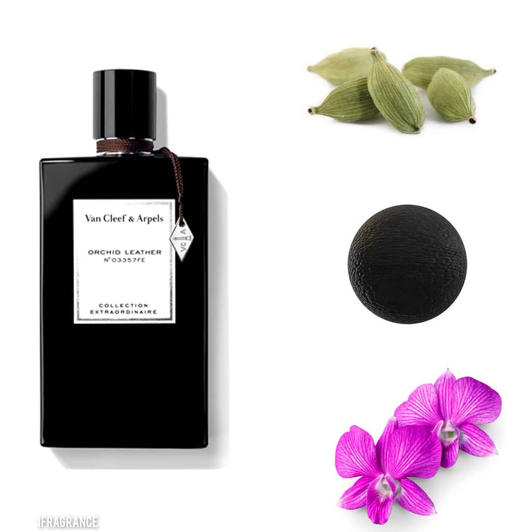 عطر أوركيد ليذر من فان كليف آند أربيلز Orchid Leather by Van Cleef and Arpels