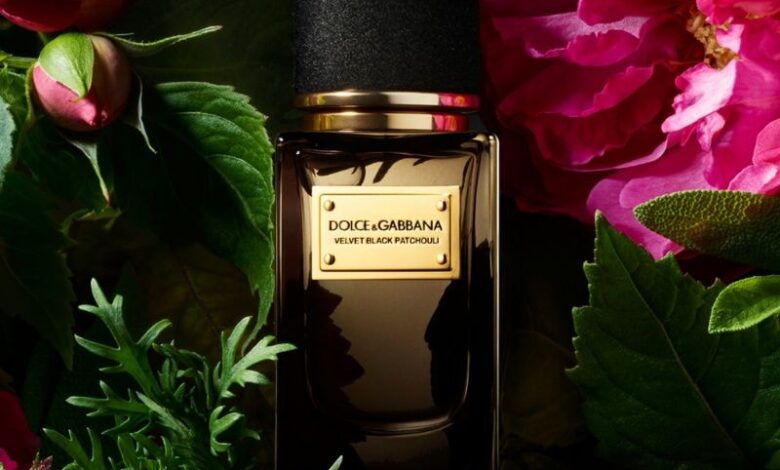 عطر فيلفيت بلاك باتشولي من دولتشي آند غابانا Velvet Black Patchouli Dolci and Gabbana