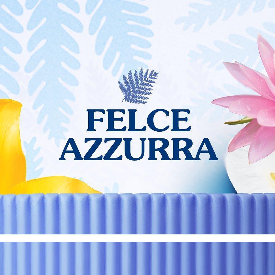 فيلتشي أزورا Felce Azzurra