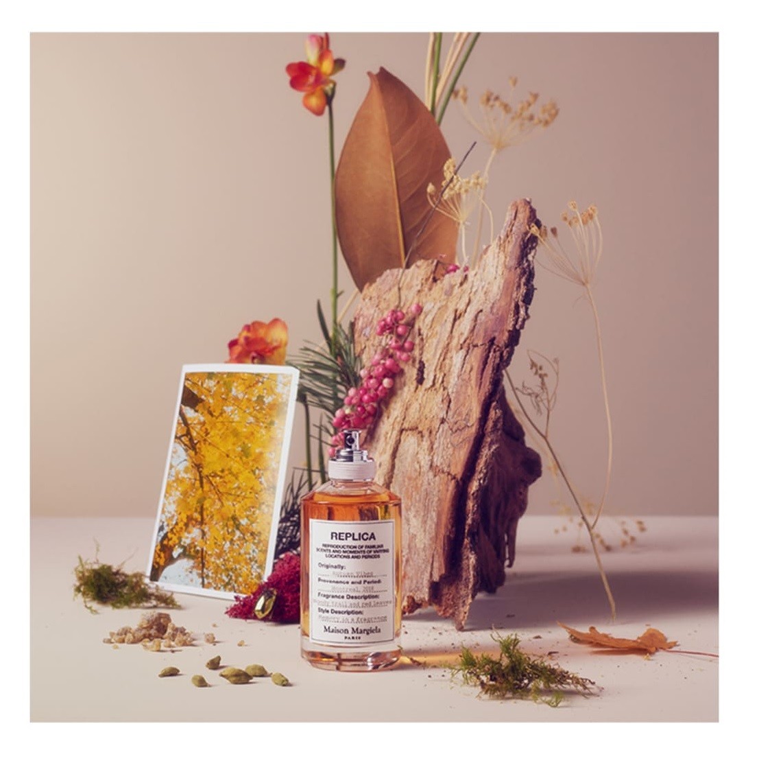 عطر Autumn Vibes Replica Maison Martin Margiela من ميزون مارتن مارجيلا