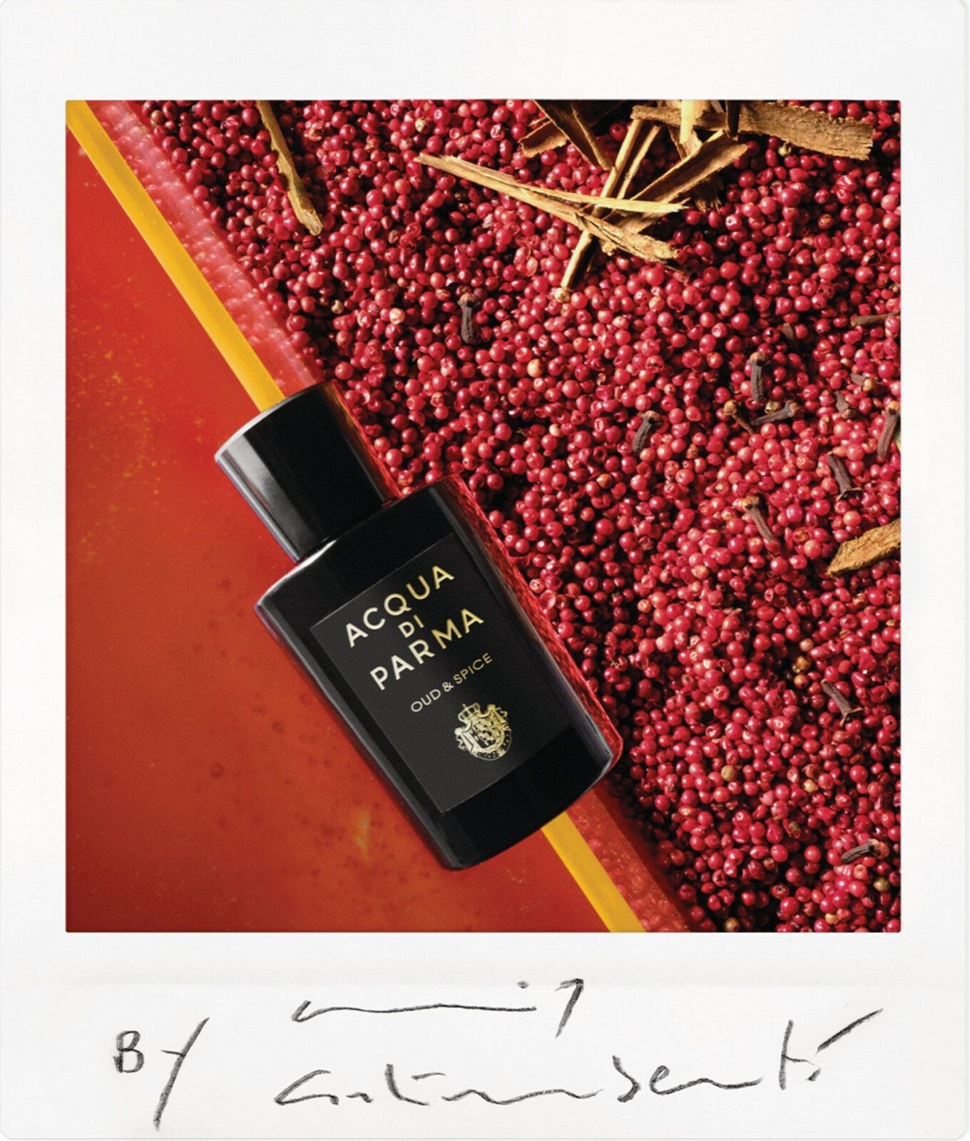 عطر Oud and Spice Acqua Di Parma من أكوا دي بارما