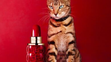 عطر Cacharel Yes I Am Eau de Parfum من كاشاريل