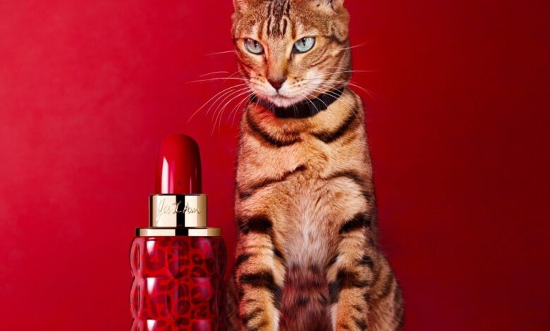 عطر Cacharel Yes I Am Eau de Parfum من كاشاريل