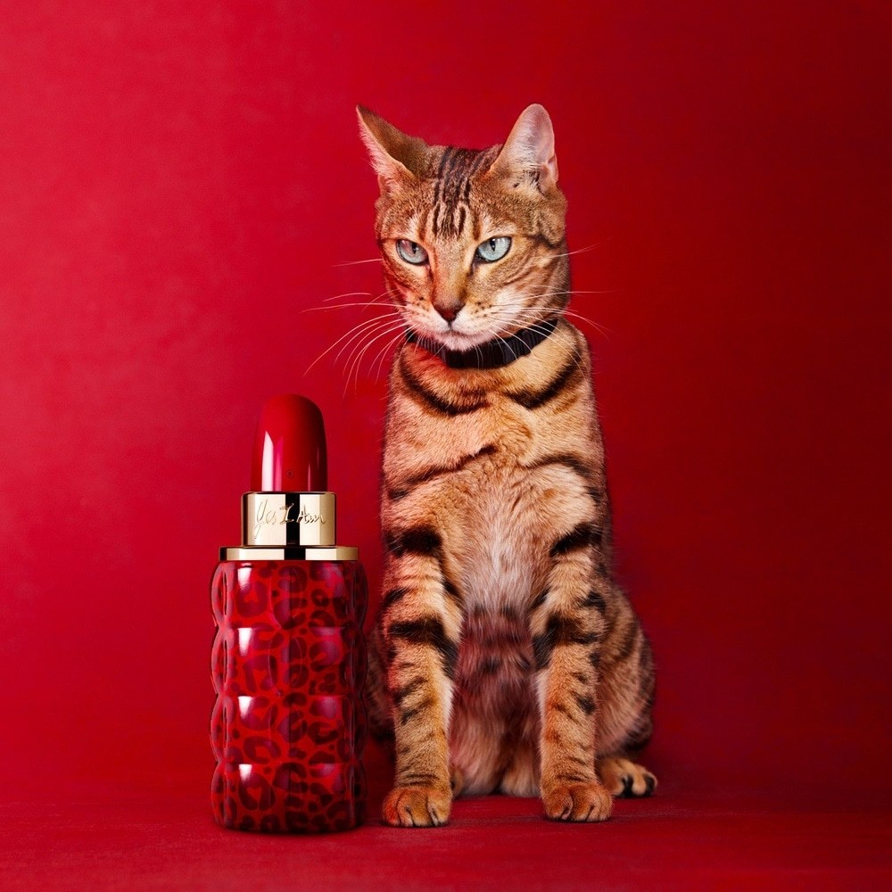 عطر Cacharel Yes I Am Eau de Parfum من كاشاريل