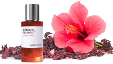 عطر Hibiscus Mahajadi Maison Crivelli من ميزون كريفيلي