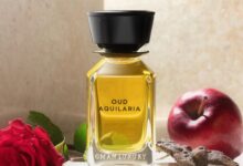 بديل عطر الوعد الرائع | عود أكويلاريا من عمان لكجري