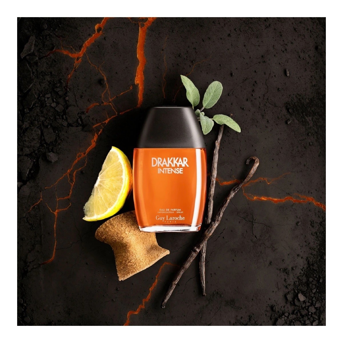 عطر جي لاروش دراكار إنتنس Guy Laroche Drakkar Intense