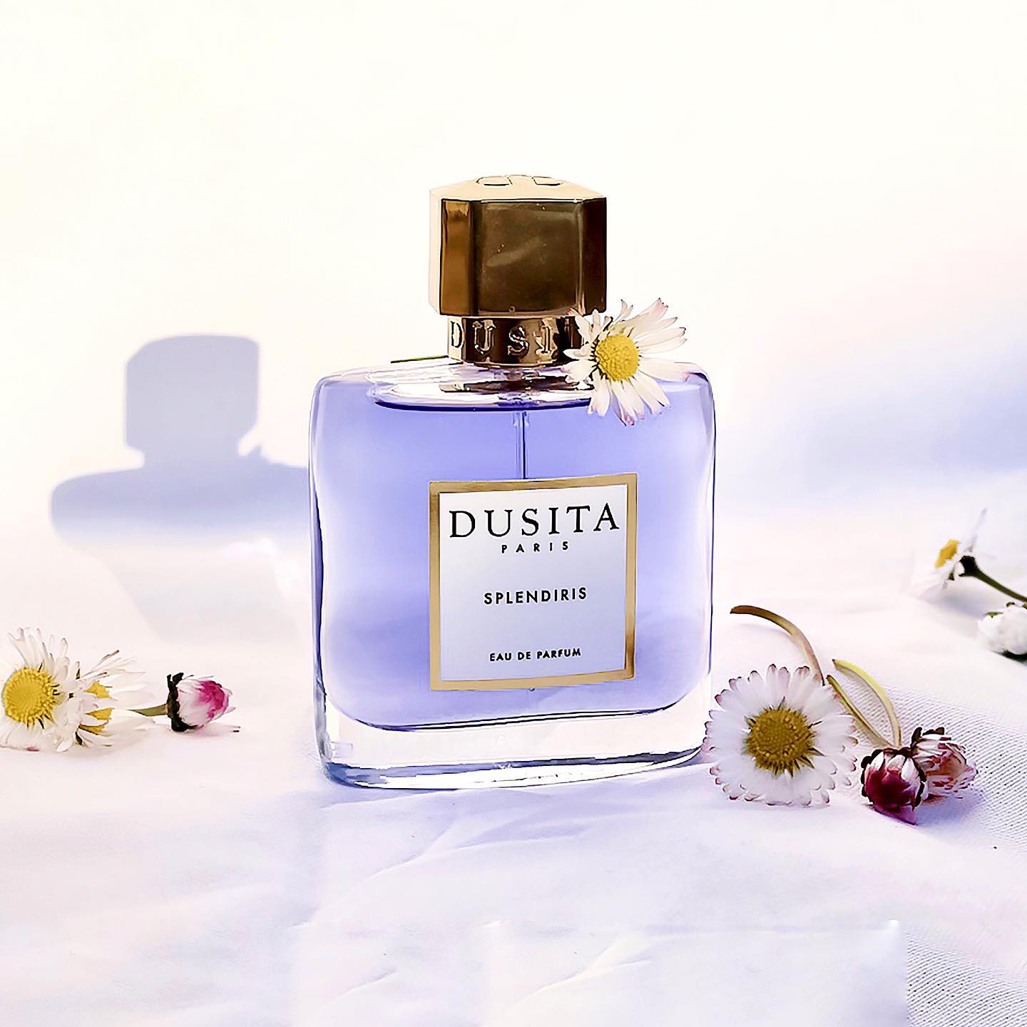 عطر سبليند أيريس Splendiris Dusita من دوسيتا