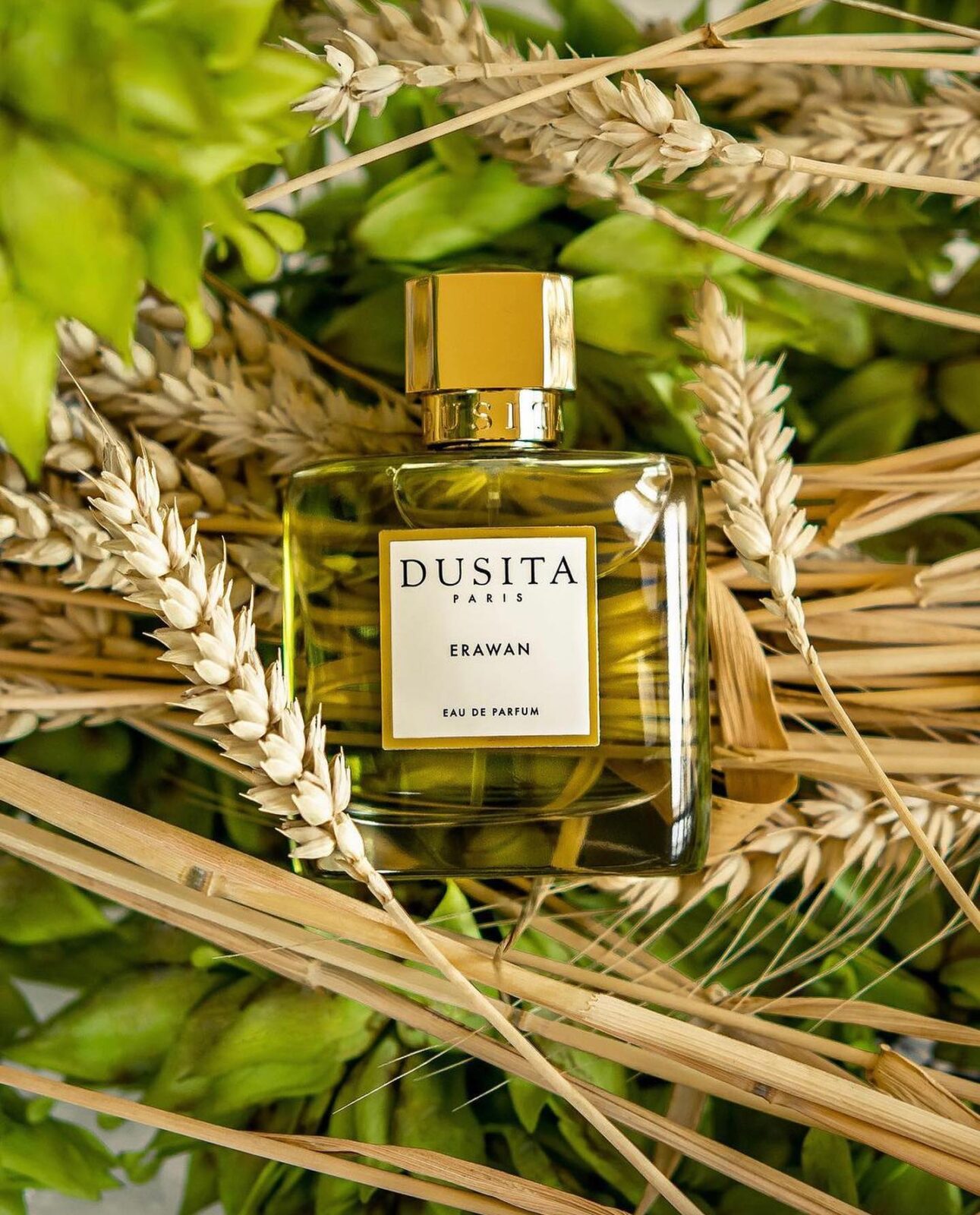 عطر إراوان Erawan Dusita من دوسيتا