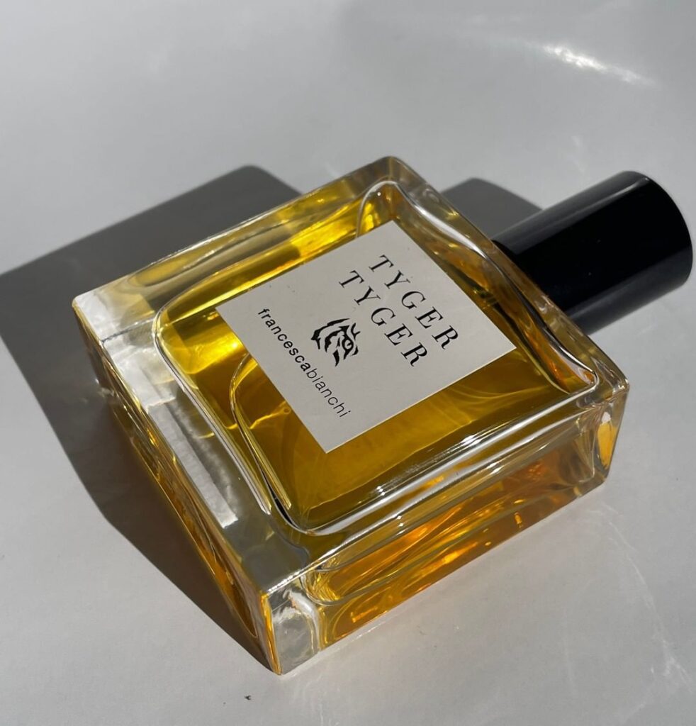 Tyger Tyger Francesca Bianchi