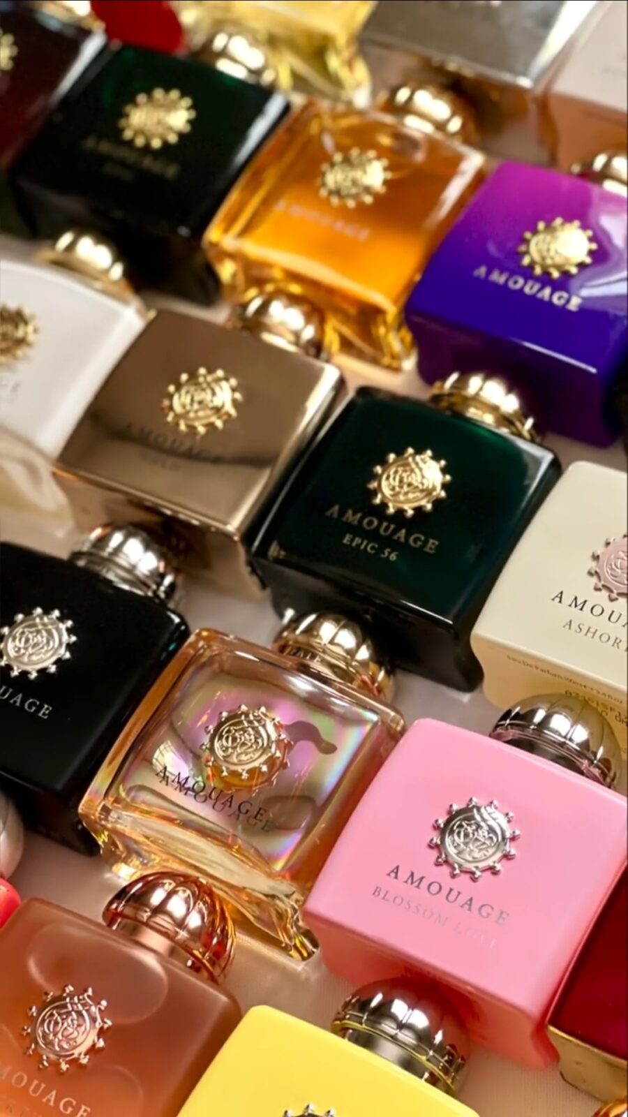 أفخم 5 عطور نسائية من أمواج 5 Most Luxurious Women's Fragrances From