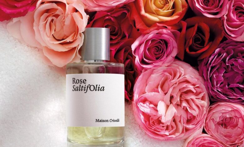 عطر روز سالتيفوليا من ميزون كريفيلي Rose SaltifOlia Maison Crivelli