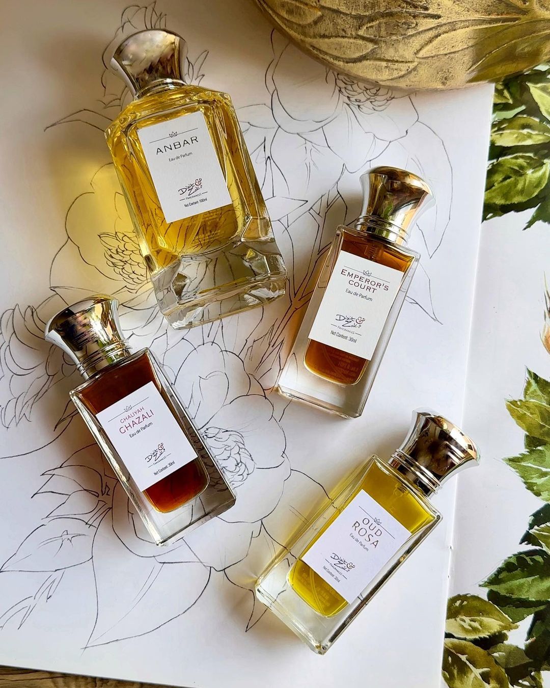 مراجعة مجموعة من عطور ديسكسيت وزاك