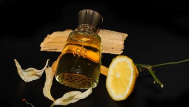 عطر عود رين من رينيه بيرفيومز Oud Rain Renier Perfumes