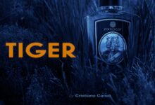 Tiger Zoologist Perfumes | عطر تايجر من زولوجيست