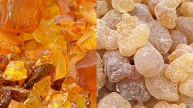 صنع عطر بطريقة جديدة (الحلقة السابعة)