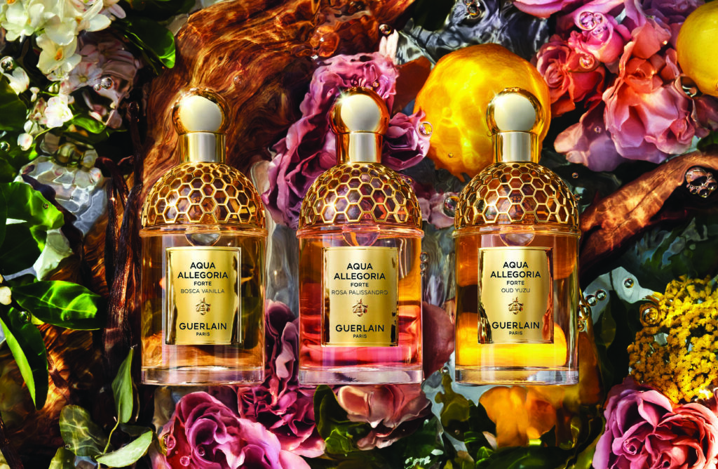 New Aqua Allegoria Forte