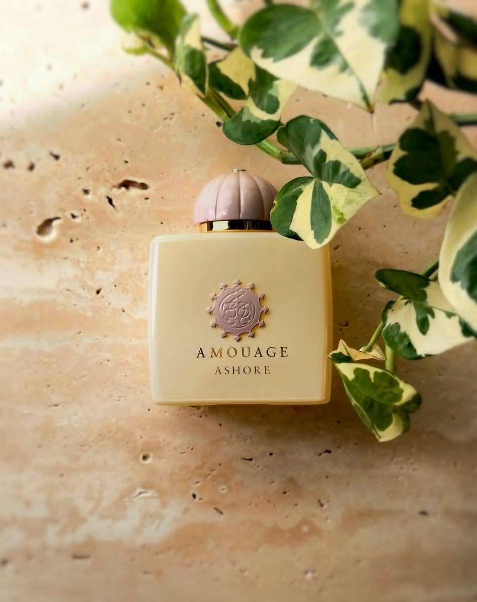 عطر أشور من أمواج: ضوء منتصف الصيف في رأس الجنز