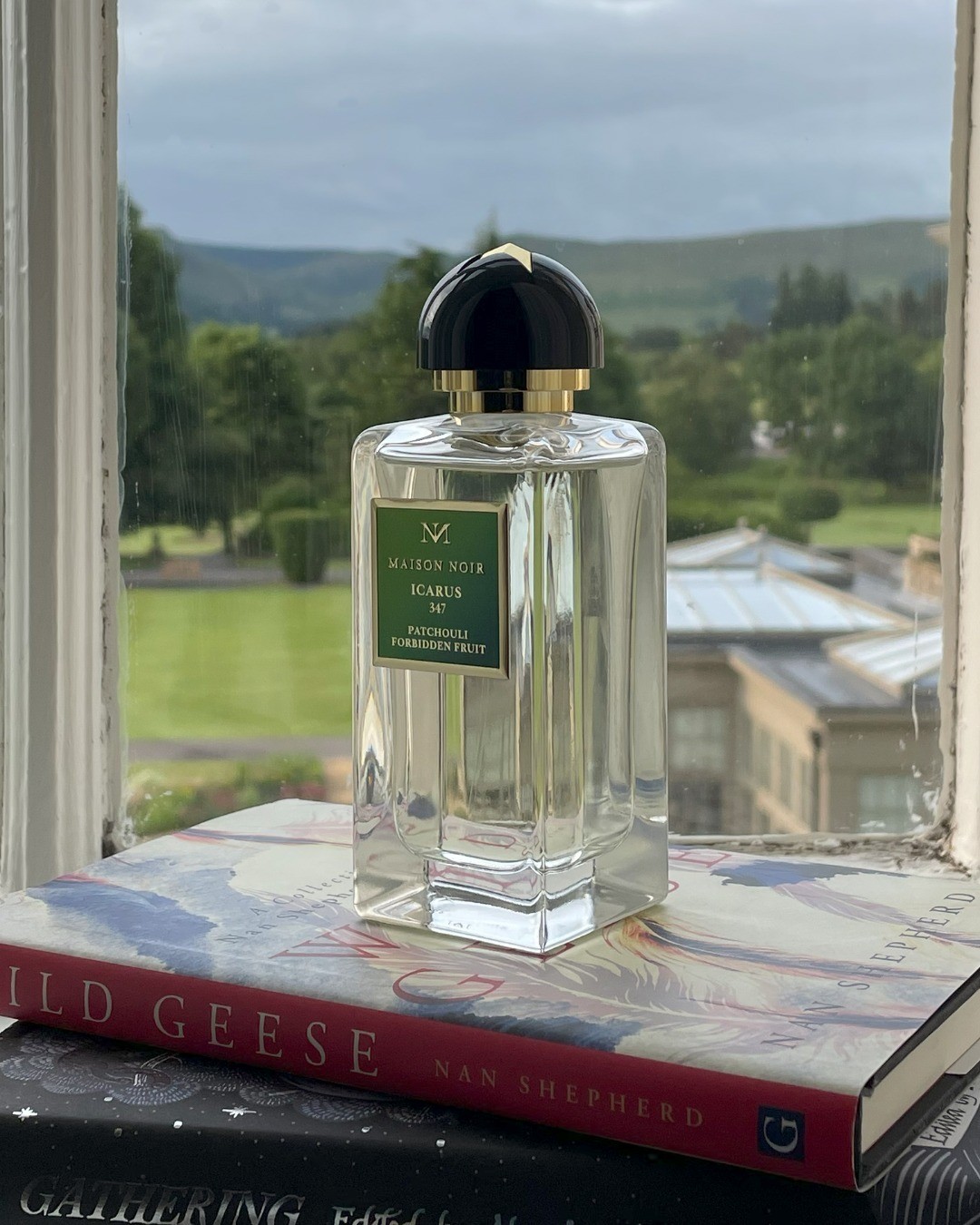 عطر ICARUS 347 Maison Noir من ميزون نوار