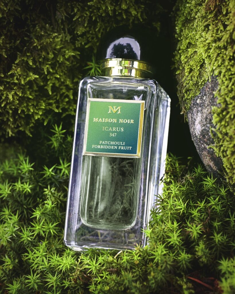 ICARUS 347 Maison Noir