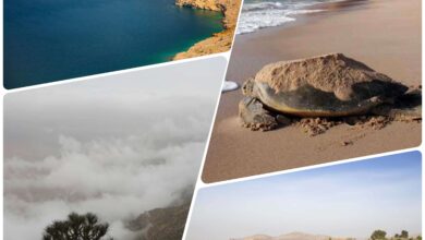 الأماكن الجغرافية المستوحاة منها مجوعة عطور النهضة The Odyssey Collection - Chapter I - Renaissance من أمواج