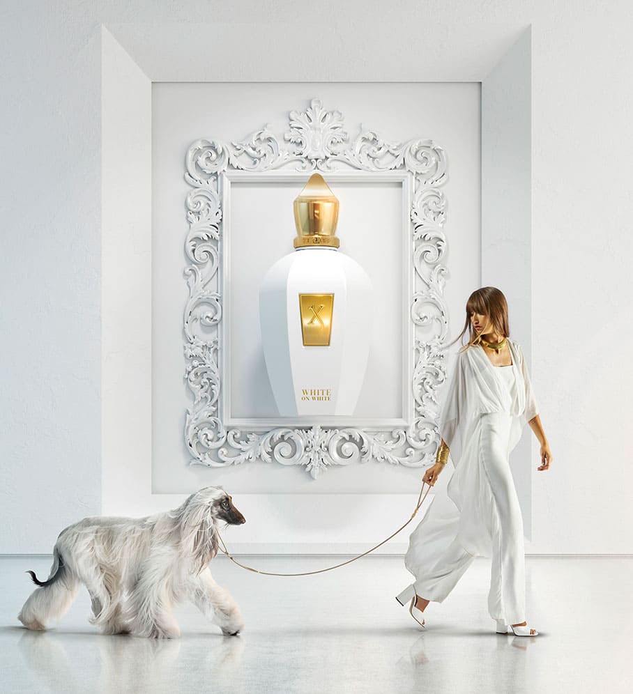 عطر White On White Xerjoff من زيرجوف