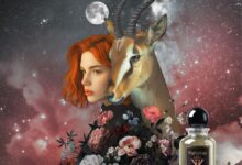 عطر Nightology Rose Harmony من خيسوس ديل بوزو