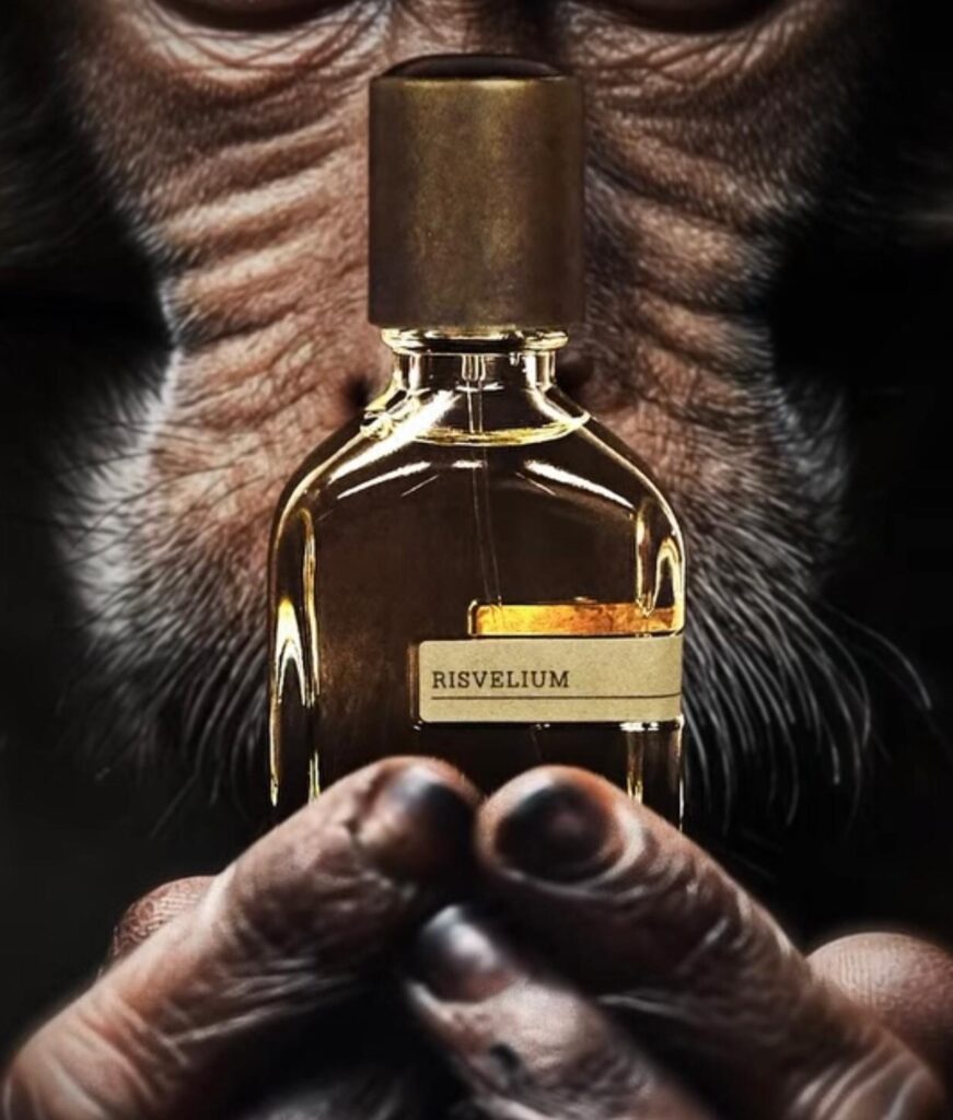 Risvelium Orto Parisi