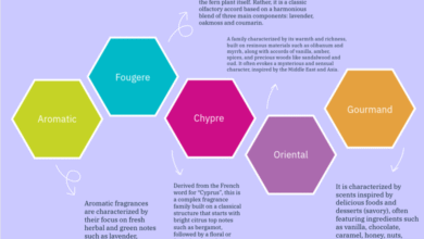 Aromatic Glance Classifications Of Aromatic Families _ 2025