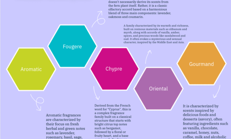 Aromatic Glance Classifications Of Aromatic Families _ 2025