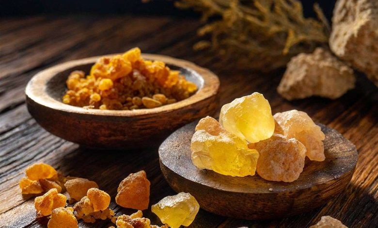الفرق بين الراتنجيات والبلسميات