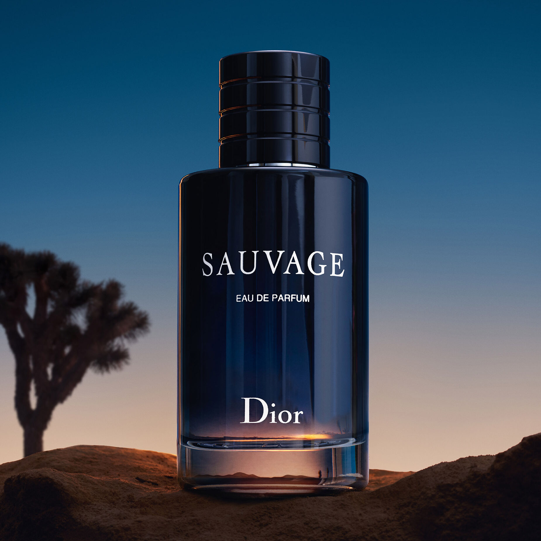 عطرسوفاج أو دو بارفام من ديور Sauvage Eau De Parfum Dior