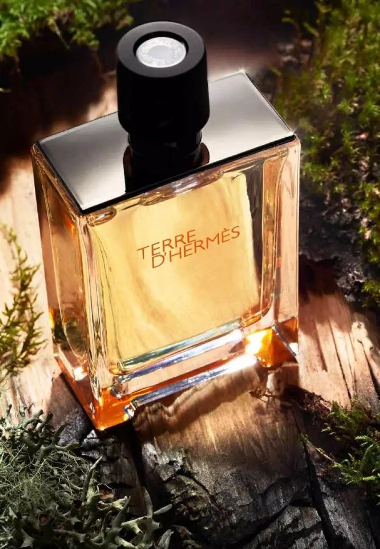 عطر Terre d'Hermès EDT Hermès من هيرميس